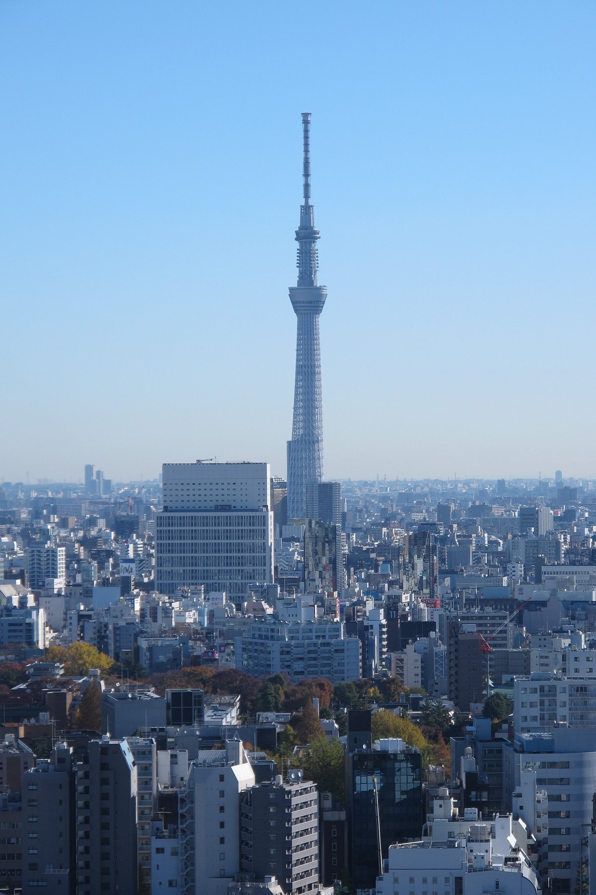 🗼 분쿄 시빅 센터 이미지 4